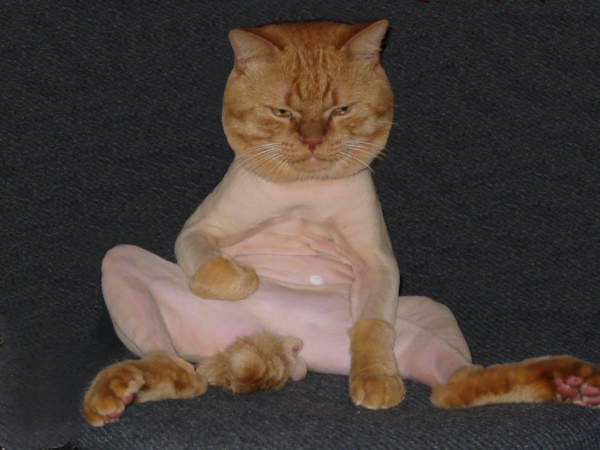Attached Image