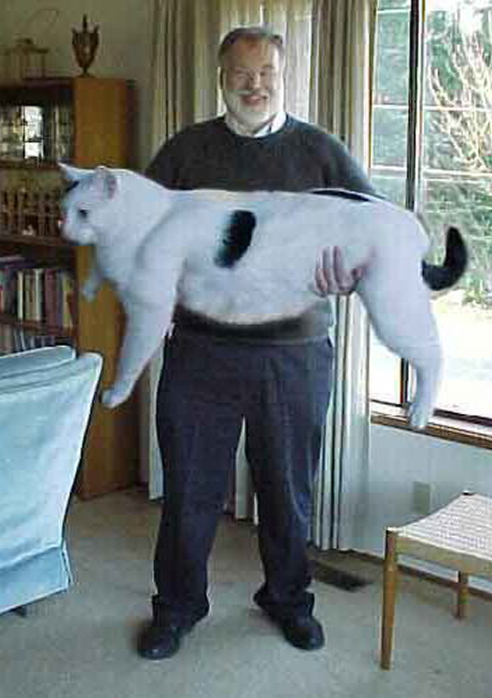 Attached Image
