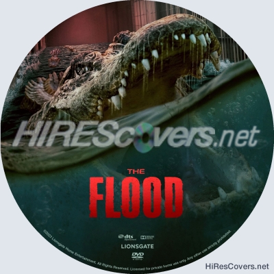 Click to view full size image
==============
Flood, The (2023) Custom DVD Disc Label
Flood, The (2023) Custom DVD Disc Label