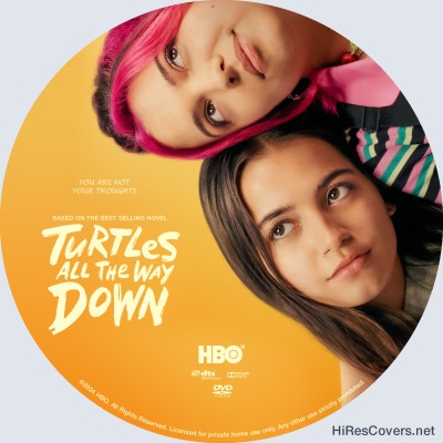 Turtles All The Way Down (2024) Custom DVD Disc Label
