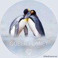 Queer Planet (2024) Custom DVD Disc Label