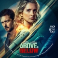 Above & Below (2026) Custom Blu-ray Disc Label
