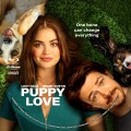 Title=Puppy Love (2023)
Type=Custom DVD Disc Label
Owner=BajeeZa
Likes=0
Date added=Sep 19, 2023
Dimensions=1500x1500 Blue_Beetle_DVD_v70.jpg