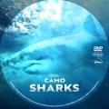 Camo Sharks (2022) Custom DVD Disc Label