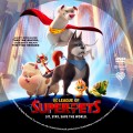 DC League of Super-Pets (2022) Custom DVD Disc Label