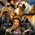 Dolittle (2020) Custom UHD 4K Blu-ray Disc Label