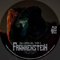Title=Frankenstein (2025)
Type=Custom Blu-ray Disc Label
Owner=BajeeZa
Likes=0
Date added=Aug 08, 2025
Dimensions=1500x1500 Frankenstein_BD_v1.jpg