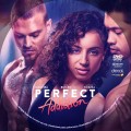 Perfect Addiction (2023) Custom DVD Disc Label