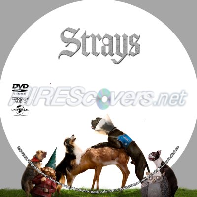 Strays (2023) Custom DVD Disc Label
