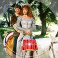 Robin Hood: Men In Tights (1993) Custom DVD Disc Label