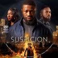 Suspicion (2024) Custom DVD Disc Label