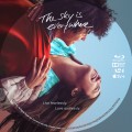 The Sky Is Everywhere (2022) Custom Blu-ray Disc Label