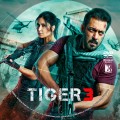 Tiger 3 (2023) Custom DVD Disc Label
