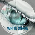 White Snake (2019) Custom DVD Disc Label