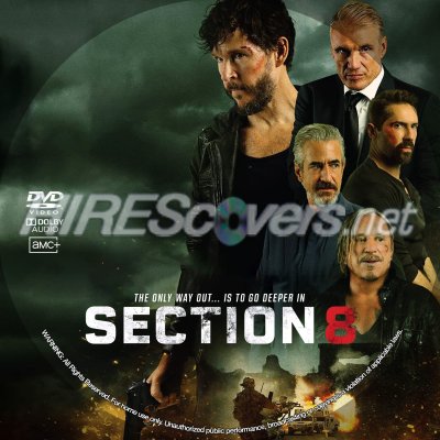Section 8 (2022) Custom DVD Disc Label

