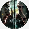 Harry Potter & The Deathly Hallows, Part 2 Custom Blu-ray Disc Label