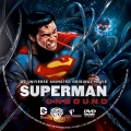 Superman: Unbound Custom DVD Disc Label