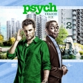 Psych Season 6 Custom DVD Disc Label