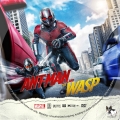 Ant-Man And The Wasp Custom DVD Disc Label