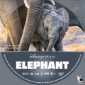 Elephant Custom DVD Disc Label