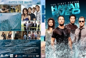 Hawaii Five-O - Season 9 (Spanning Spine) Custom DVD Cover
