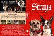 Strays Custom DVD Cover