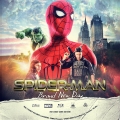 Spider-Man : Brand New Day Custom Blu-ray Disc Label