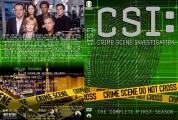 CSI: Crime Scene Investigation - Season 14, Disc 5 Custom DVD Cover