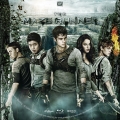 The_Maze_Runner_label_v.1.jpg