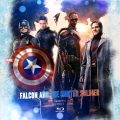 Falcon and the Winter Soldier Season 1 (2021) Custom Blu-ray Disc Label