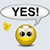 default :yes: